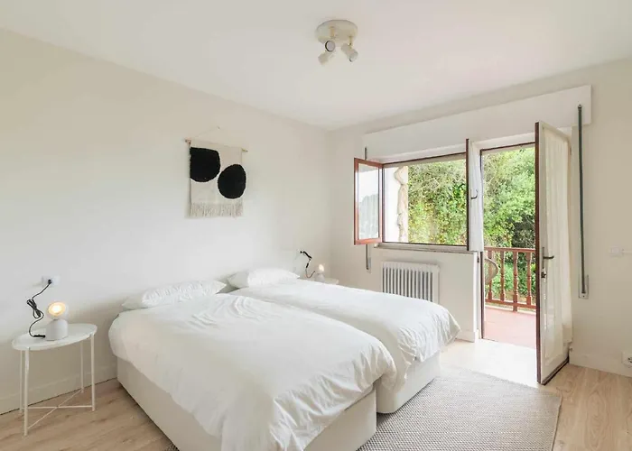 Toro Playa A 100 M De La Playa