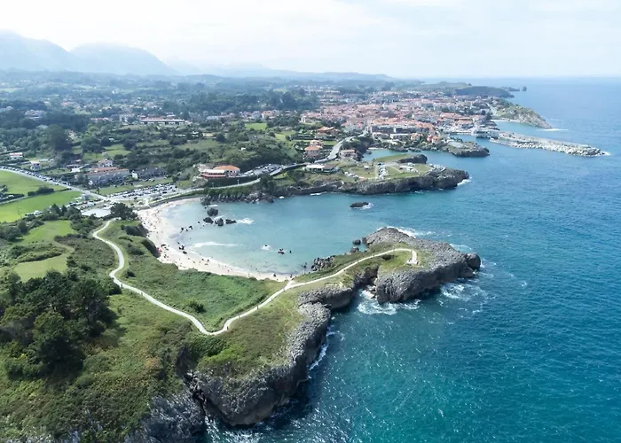 Toro Playa A 100 M De La Playa * Llanes